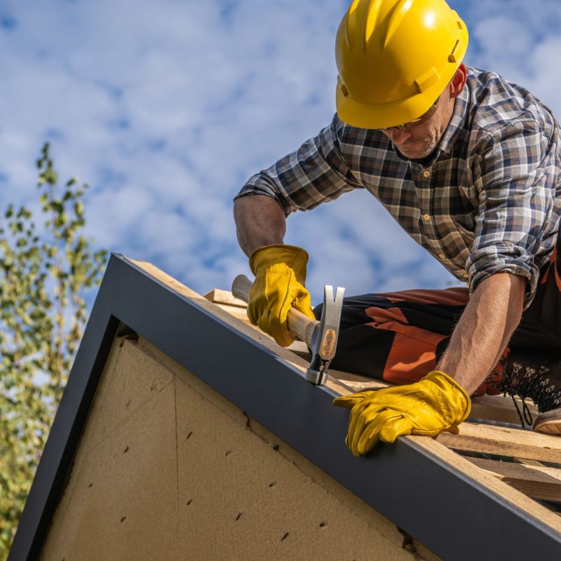 carpenter working roof